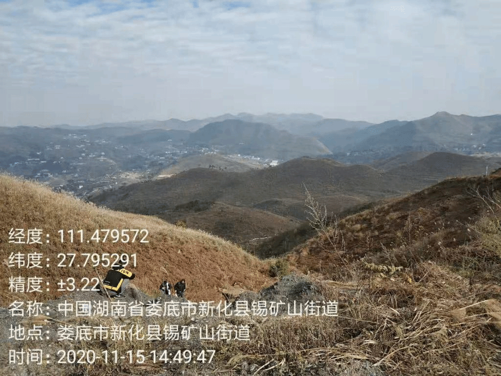 调查锡矿山富集植物图