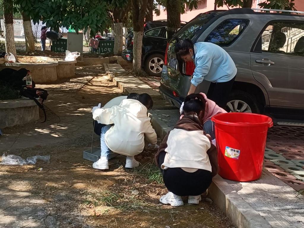 同学们正在合理清理落叶