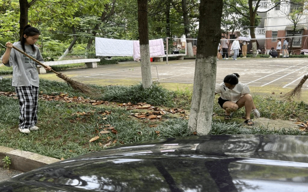 同学们合力清扫落叶